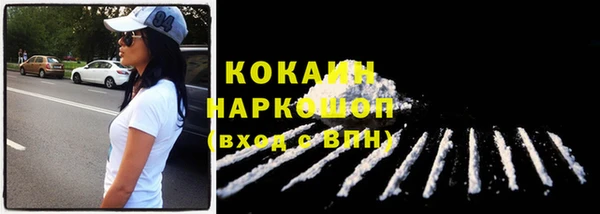 стаф Баксан