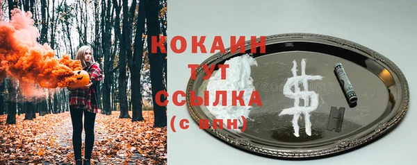 стаф Баксан