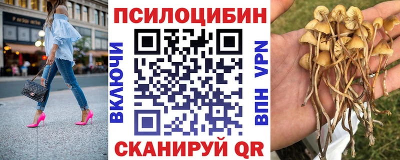 купить наркоту  Верея  Галлюциногенные грибы прущие грибы 
